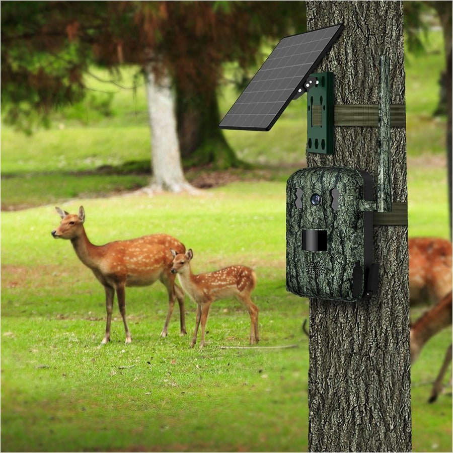WildCast S8 wildcamera - Broer Outdoor - 5906817502605