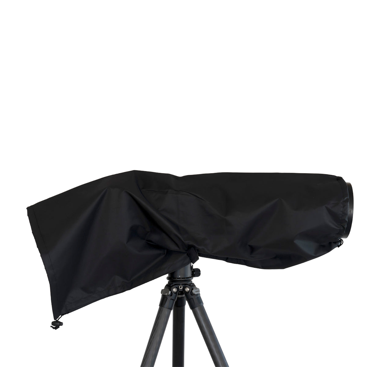 Buteo Photo Gear Regenhoes 2