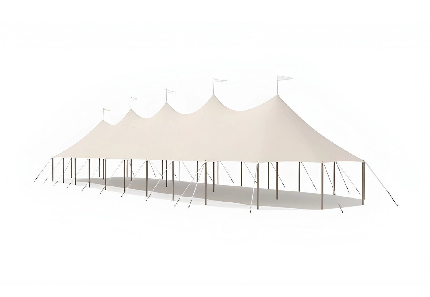 Sailcloth Tent 10 to 700 people