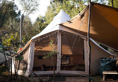 Sibley Apex 520 Panorama - Canvas Tenten - Broer Outdoor - 5407011660431