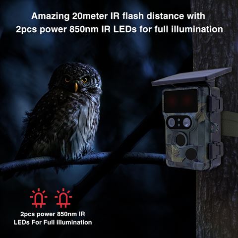 Stealth Gear Nightjar Dual - Cam 4K wildcamera - Broer Outdoor - 8718127036186